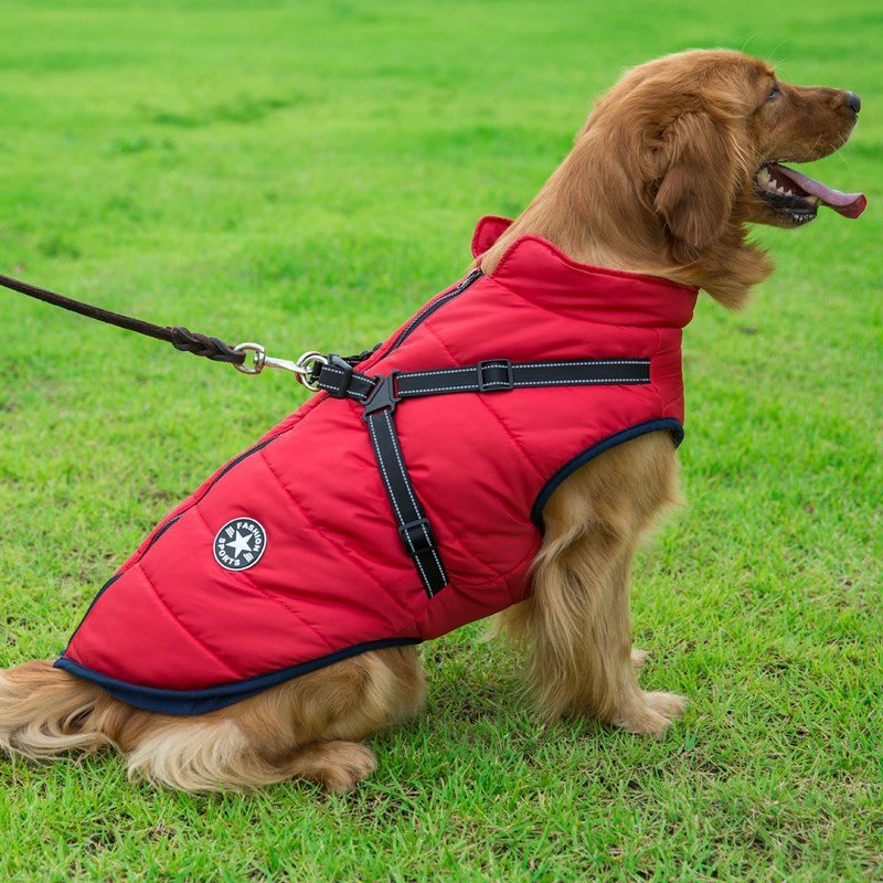 Colete Corta-Vento Pet Jones™ | Roupa Para Cachorro